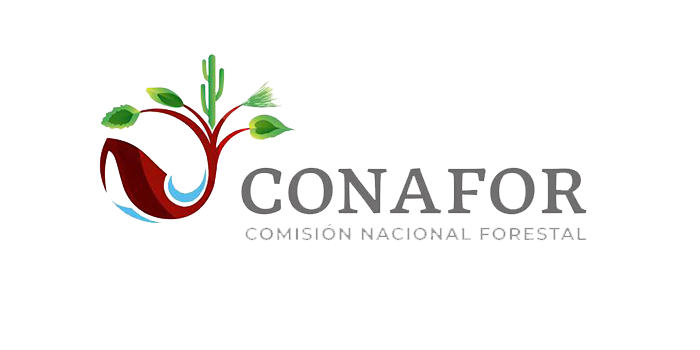 CONAFOR logo Polinizando México Programas de Educación Ambiental en México abejas mariposas colibrí murciélago